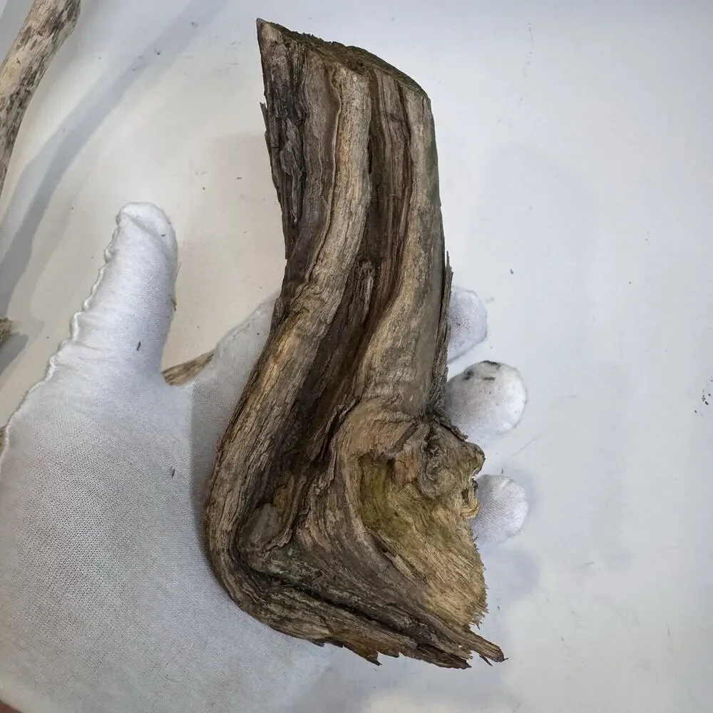 Driftwood 3 Piece Lot Natural Aquarium Terrarium Beach Decor Taxidermy Y Shaped